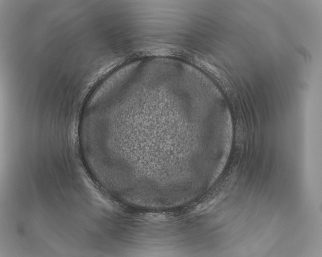 X0000111870394200908131616