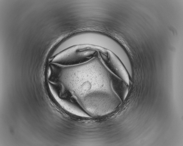 X0000111870395200908131616