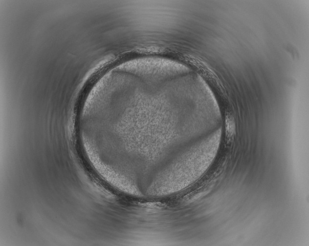 X0000111870396200908131616