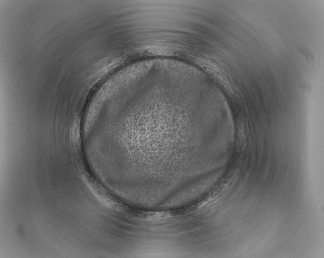 X0000111870398200908131616