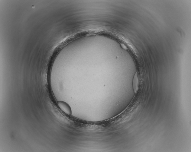 X0000111870399200908131616