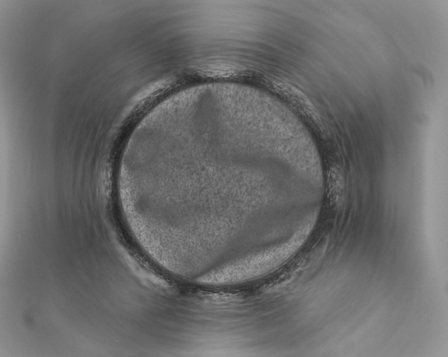 X0000111870400200908131616