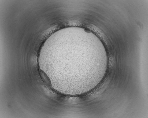 X0000111870401200908131616