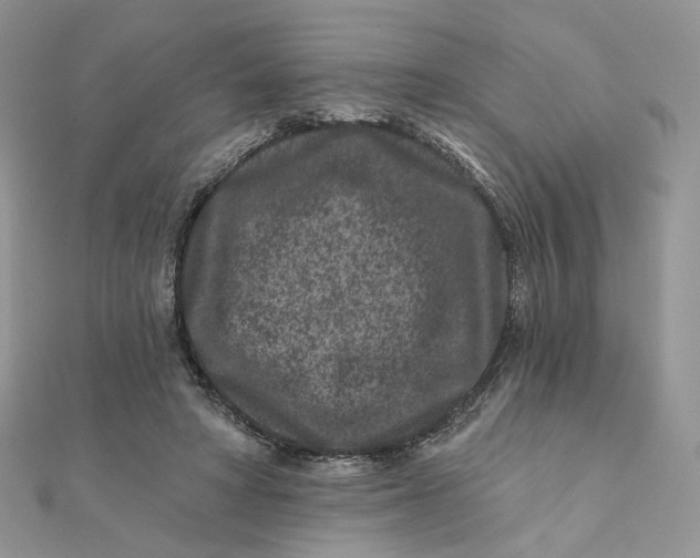 X0000111870402200908131616