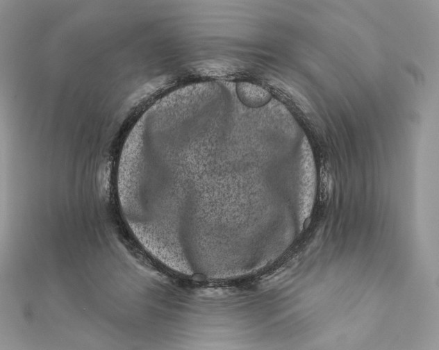 X0000111870404200908131616