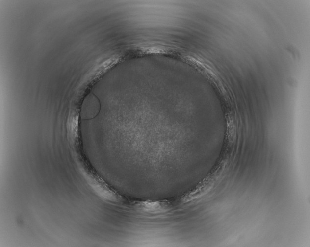 X0000111870406200908131616