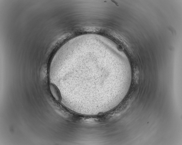 X0000111870407200908131616