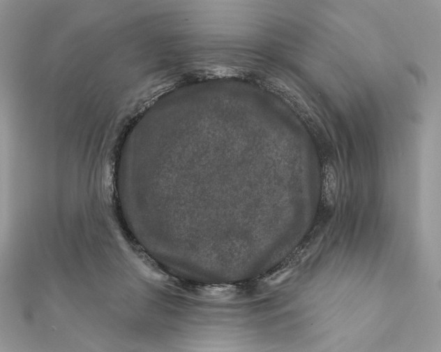 X0000111870410200908131616