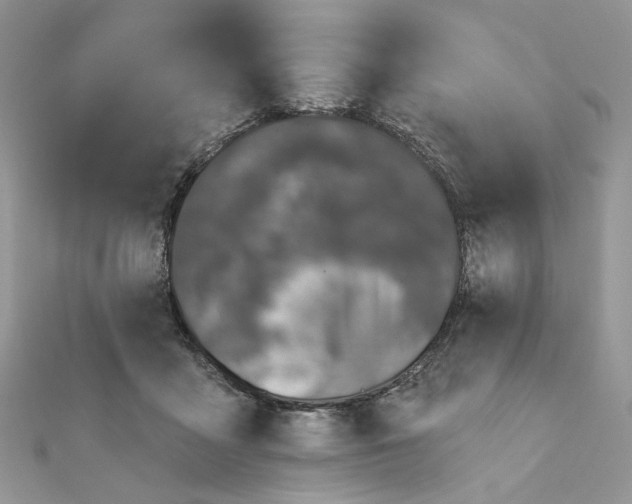 X0000111870411200908131616