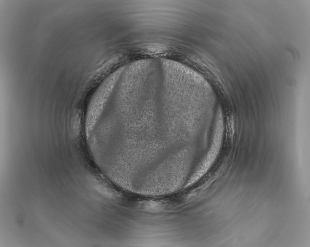 X0000111870412200908131616