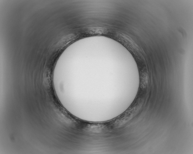 X0000111870414200908131616