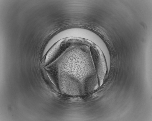 X0000111870415200908131616