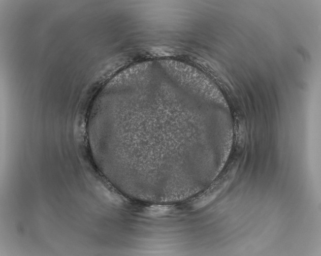 X0000111870418200908131616