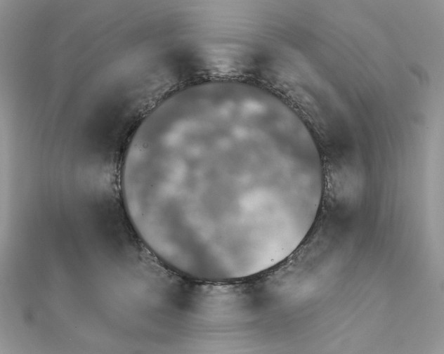 X0000111870419200908131616