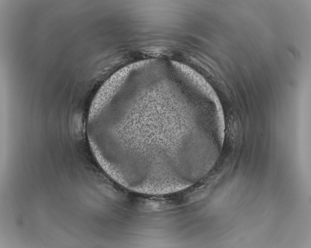 X0000111870420200908131616