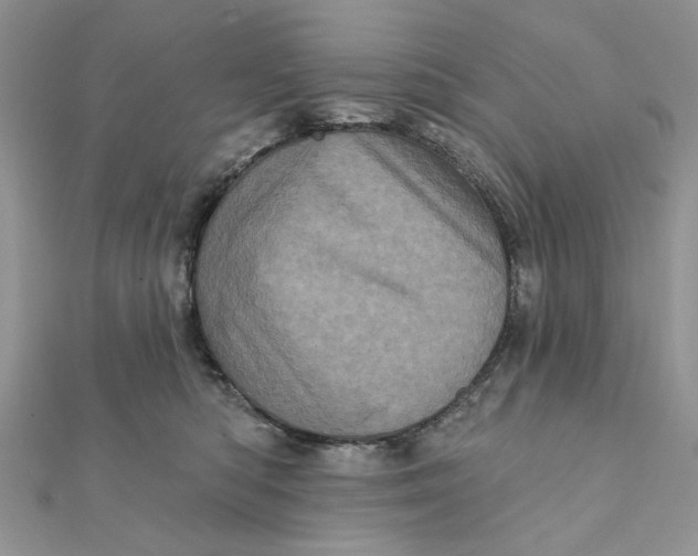 X0000111870422200908131616