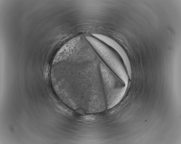 X0000111870423200908131616