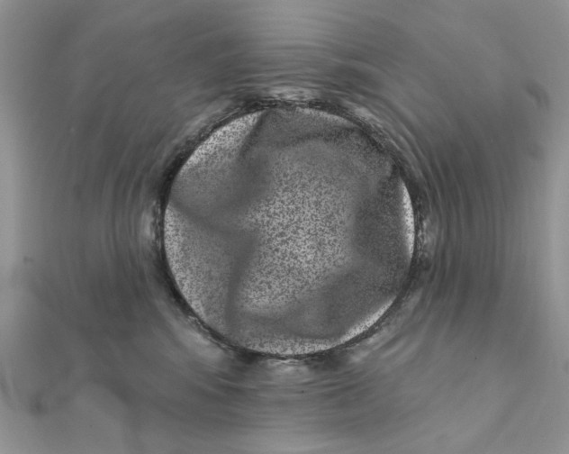 X0000111870424200908131616