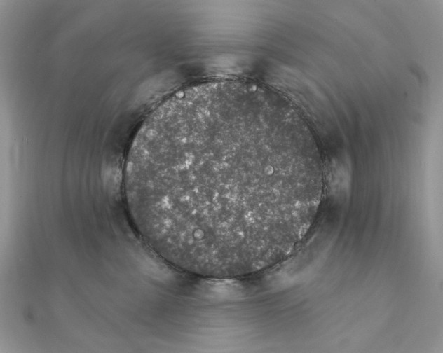 X0000111870427200908131616