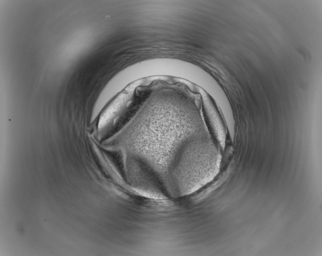 X0000111870429200908131616