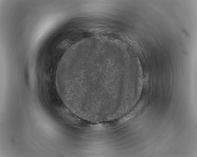 X0000111870430200908131616