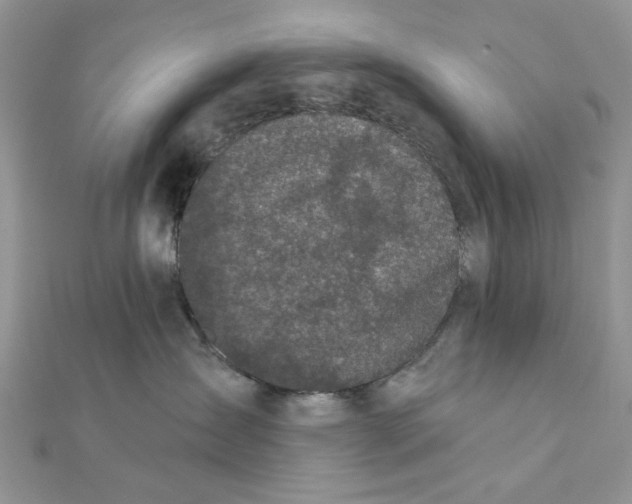 X0000111870431200908131616