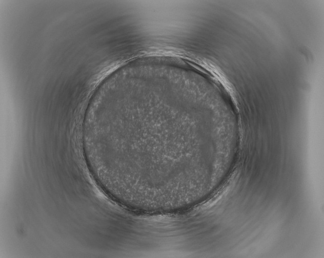 X0000111870433200908131615