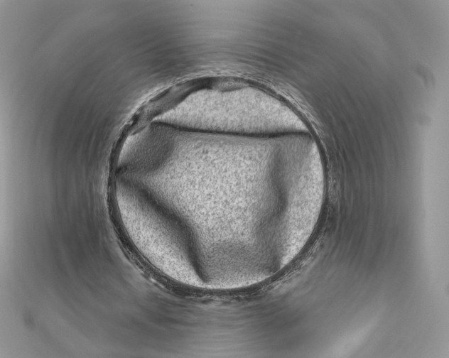 X0000111870434200908131615