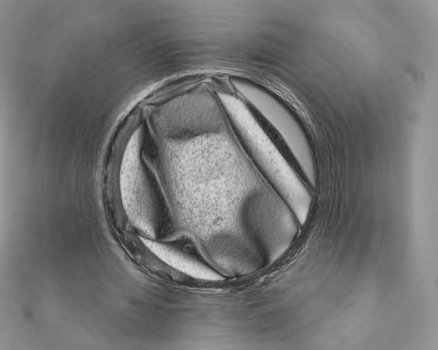 X0000111870436200908131615