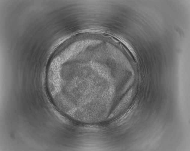 X0000111870437200908131615