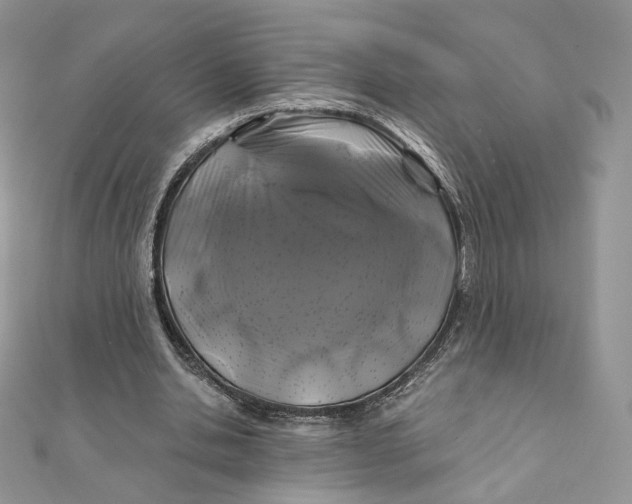 X0000111870438200908131615