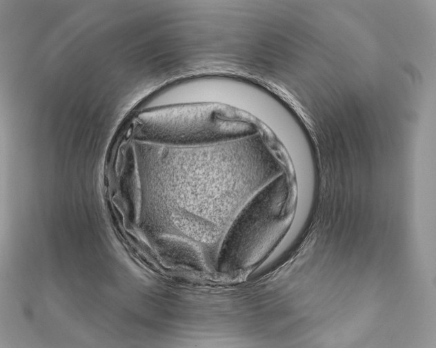 X0000111870439200908131615