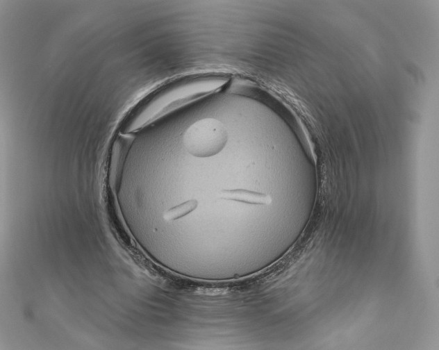 X0000111870440200908131615