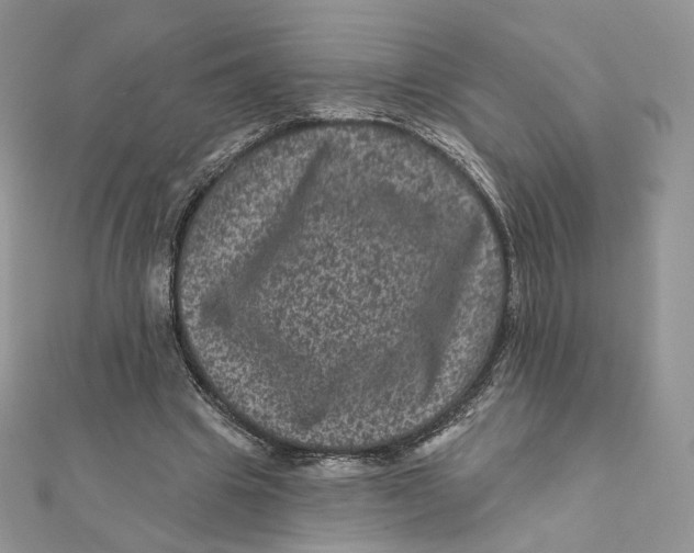 X0000111870441200908131615