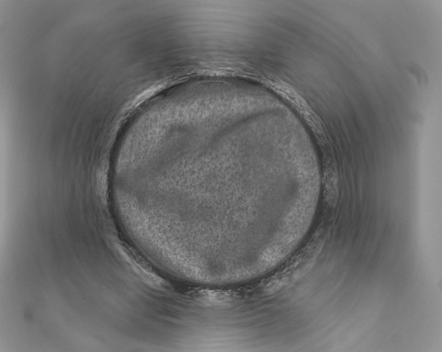 X0000111870442200908131615