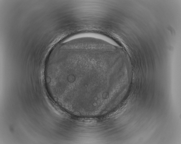 X0000111870443200908131615