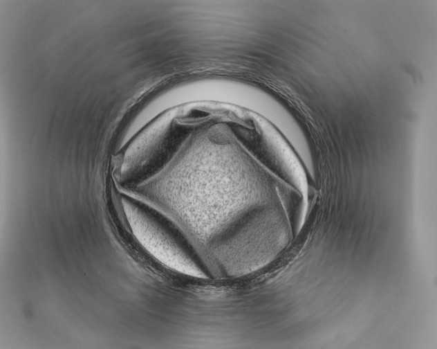 X0000111870444200908131615