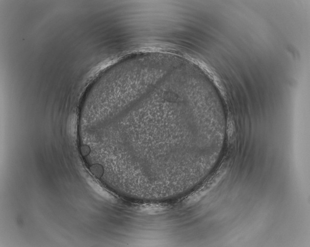 X0000111870445200908131615