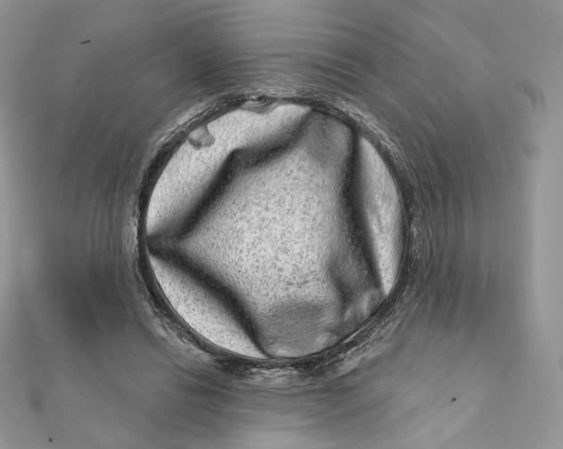 X0000111870446200908131615