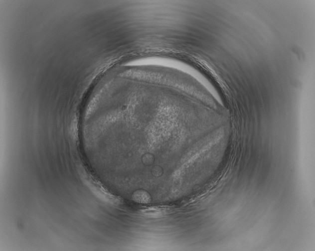 X0000111870447200908131615