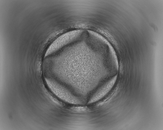 X0000111870449200908131615