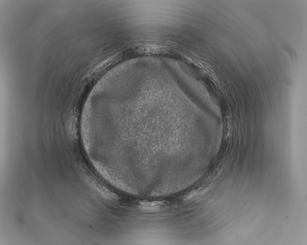 X0000111870450200908131615