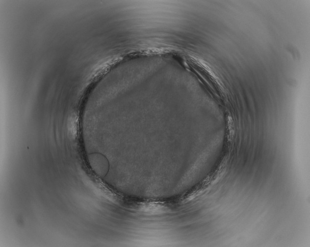 X0000111870451200908131615