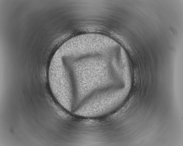 X0000111870453200908131615