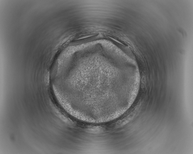 X0000111870454200908131615