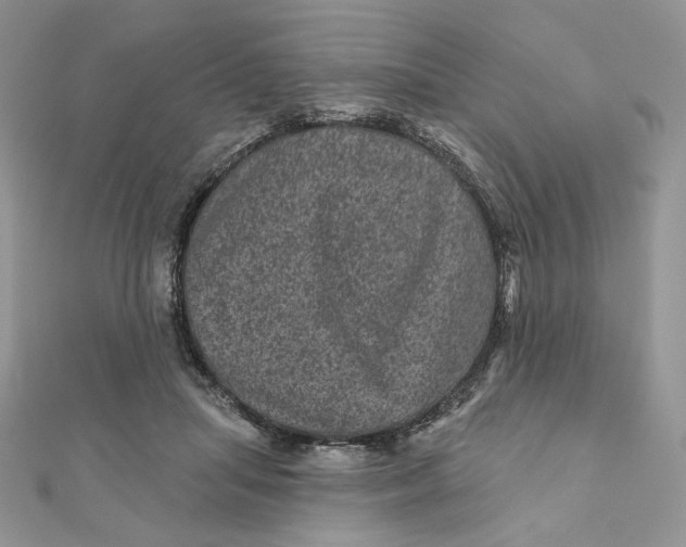 X0000111870455200908131615