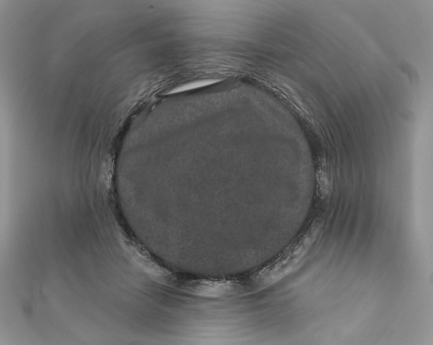 X0000111870458200908131615