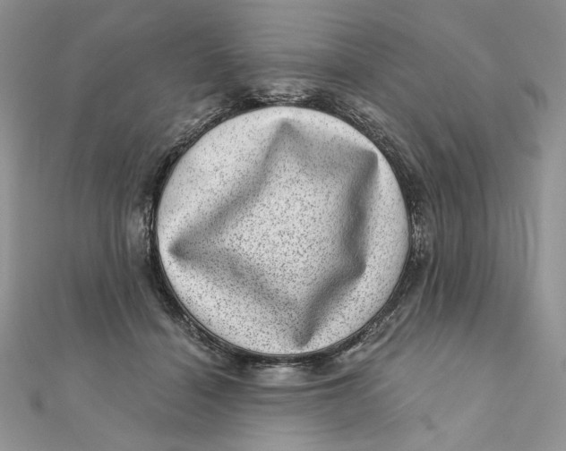 X0000111870460200908131615