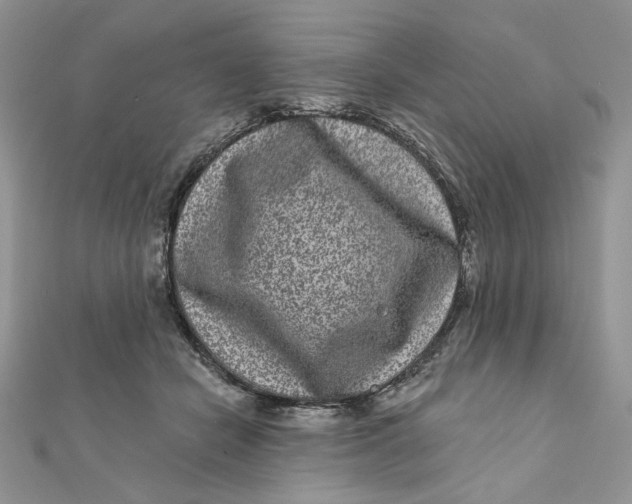 X0000111870462200908131615