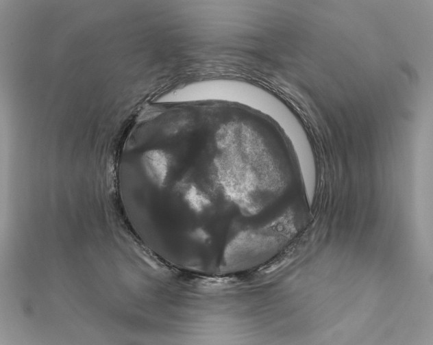 X0000111870465200908131615